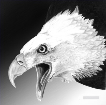 águila blanca en blanco y negro Pinturas al óleo